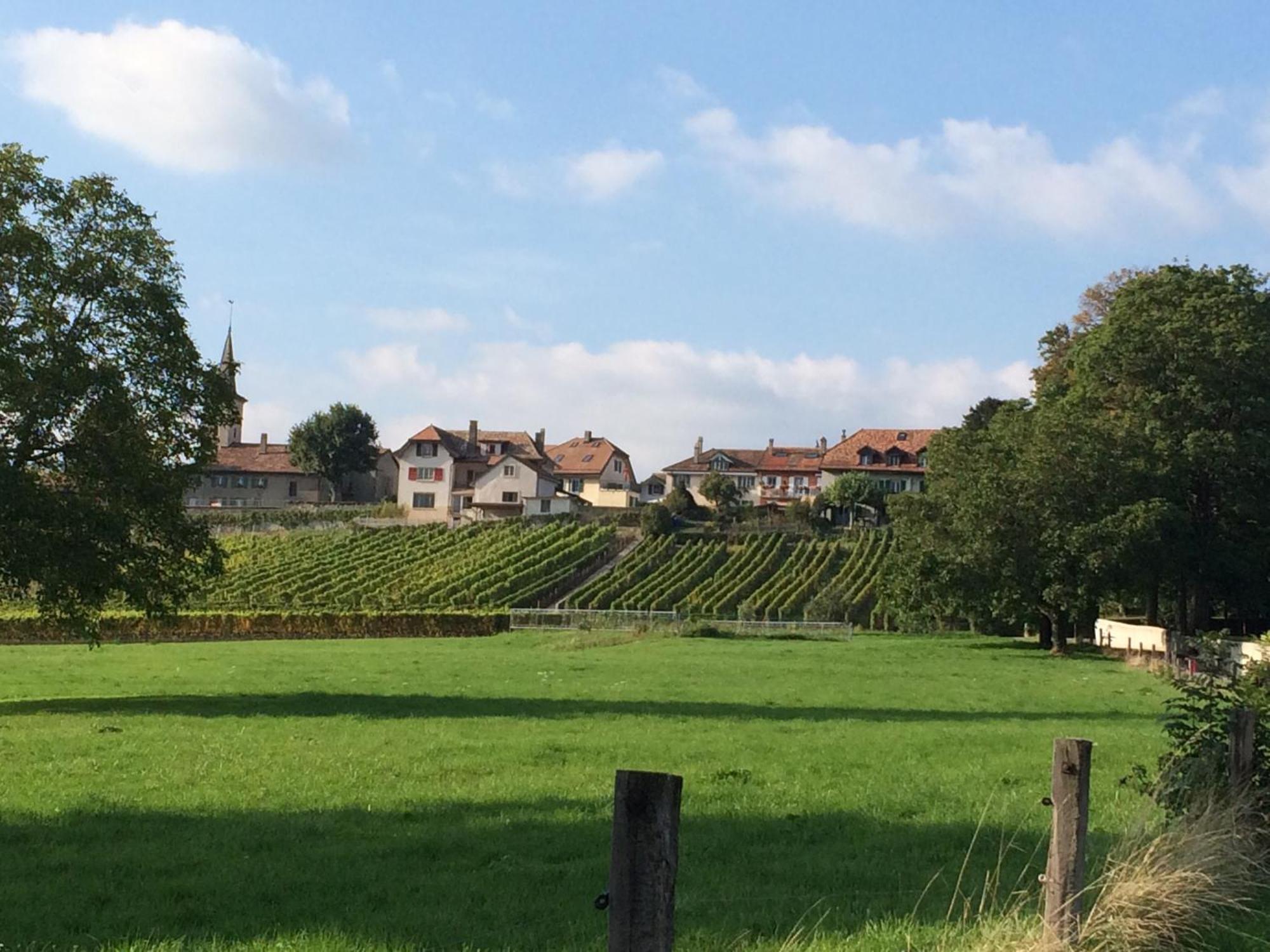 Le Chateau Lavigny Exteriér fotografie