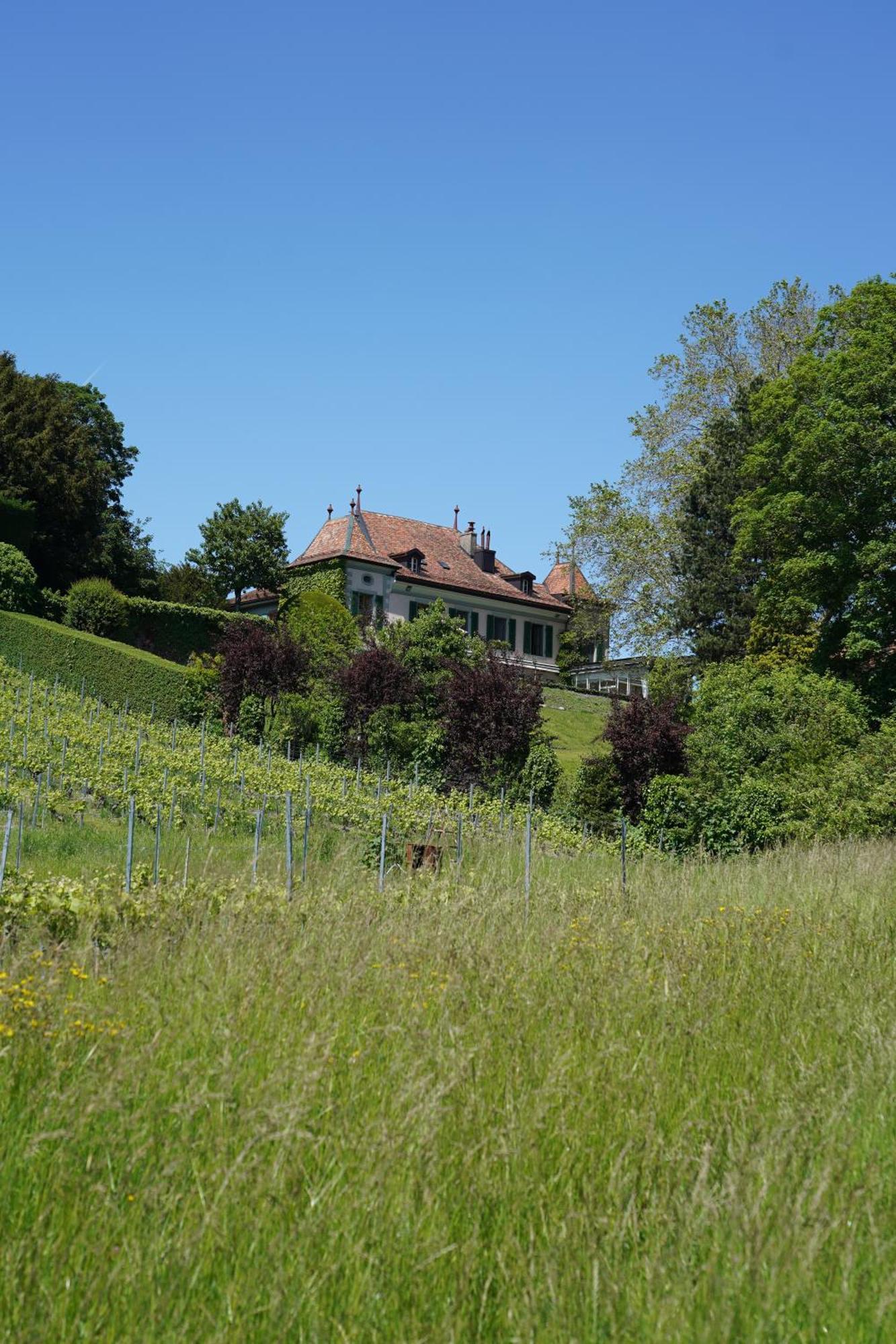 Le Chateau Lavigny Exteriér fotografie