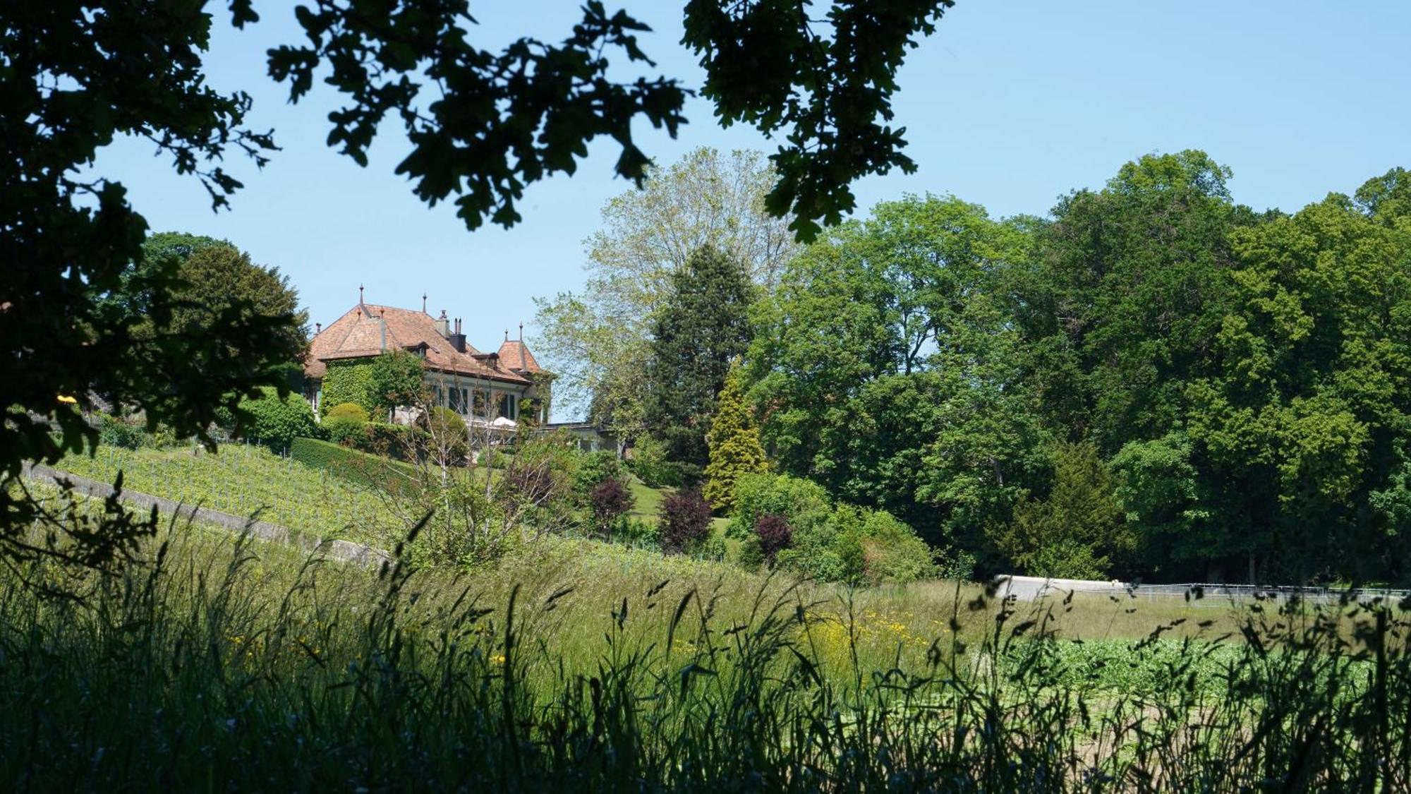 Le Chateau Lavigny Exteriér fotografie