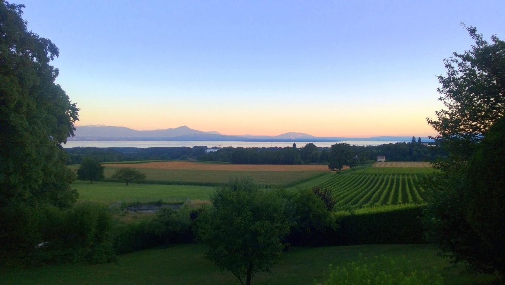 Le Chateau Lavigny Exteriér fotografie